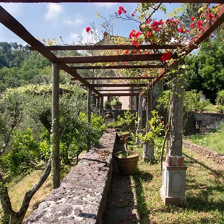 Doriana Camaiore